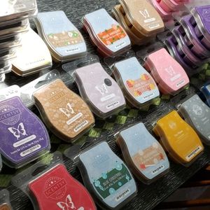 Assorted Scentsy Bars (current, retired,SOTM)